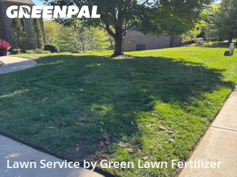 Yard Care Services in Springfield, 65810, Lawn Services by Green Lawn Fertilizer, work completed in Oct , 2025