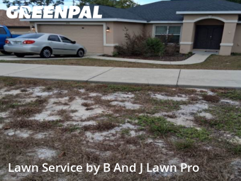 Yard Grooming in Spring Hill, 34609, Yard Maintenance by B And J Lawn Pro, work completed in Oct , 2025