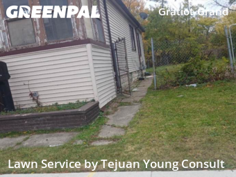 Property Maintenance in Detroit, 48214, Yard Grooming by Tejuan Young Consult, work completed in Nov , 2025