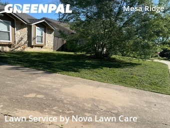Lawn Mow nearby Round Rock, TX, 