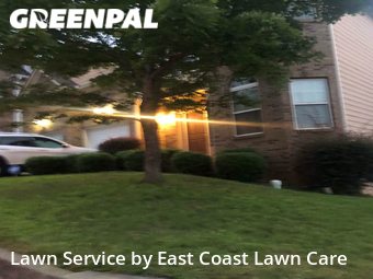 Grass Cut nearby Ellenwood, GA, 