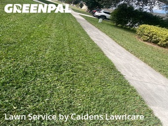Lawn mowed in Royal Palm Beach, 33411