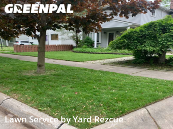 Lawn Mow nearby Dearborn Heights, MI, 