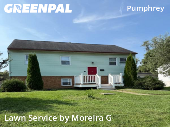 Yard Services in Brooklyn Park, 21225, Yard Management by Moreira G, work completed in Nov , 2025