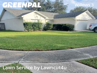 Lawn Mow nearby Valrico, FL, 