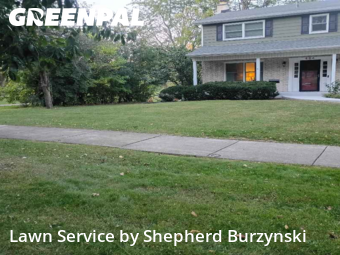 Grass Cut nearby Downers Grove, IL, 