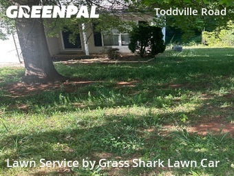 Lawn Mowing Service nearby Charlotte, NC, 