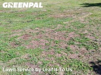 Landscaping Renovation In Tallahassee,32304,Landscapers by Leaf It To Us , work completed in Jul , 2026