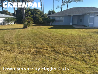 Lawn Mowing nearby Palm Coast, FL, 