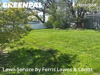 Lawn Mow nearby Tonawanda, NY, 