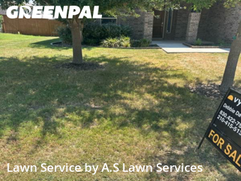 Yard Cutting nearby Cibolo, TX, 