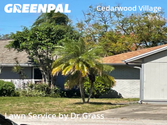 Lawn Care Service nearby Tampa, FL, 