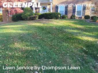 Lawn Services in Overland Park, 66213, Lawn Mowing by Thompson Lawn, work completed in Nov , 2025