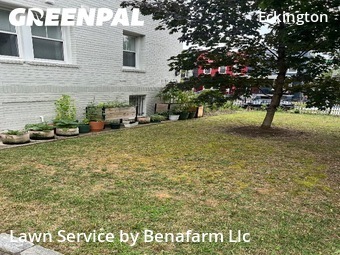 Lawn Cut nearby Washington, MD, 