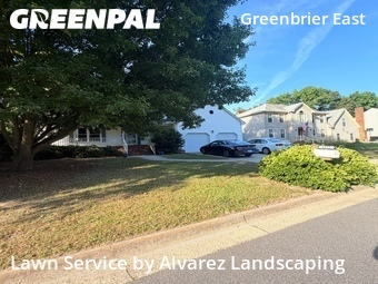 Grass Cut nearby Chesapeake, VA, 