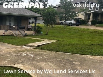 Lawn mowed in San Marcos, 78666