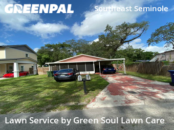 Lawn Cut nearby Tampa, FL, 