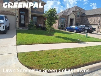Grass Cut nearby Midlothian, TX, 