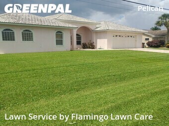 Yard Cutting nearby Cape Coral, FL, 