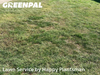 Lawn Maintenance in Kettering, 45429, Lawn Maintenance by Happy Plantsman, work completed in Oct , 2025