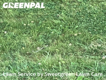 Lawn Mowing Service nearby Pittsburgh, PA, 