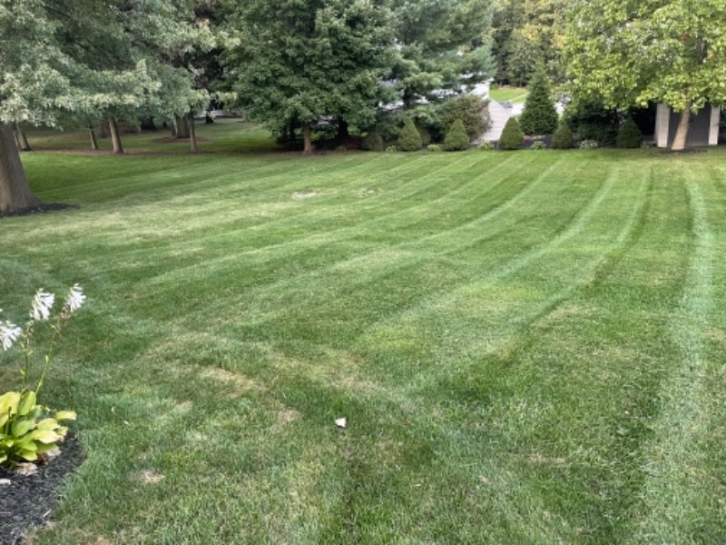 Yard mowing company in Akron, OH, 44312