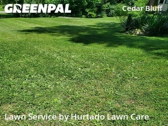 Lawn Service nearby Knoxville, TN, 