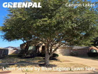 Work completed by local-landscaping-services-in-Cypress-CA