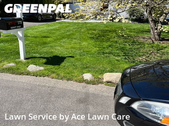 Lawn Mow nearby Fairfield, CT, 