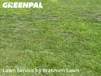 Grass Cut nearby Baton Rouge, LA, 
