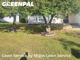 Weed Trimming in Decatur, 30035, Lawn Work by Migos Lawn Service, work completed in Nov , 2025