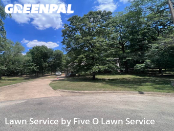 Lawn Care nearby Jonesboro, AR, 