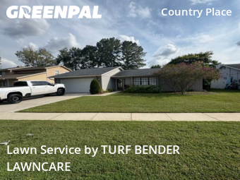 Grass Cut nearby Tampa, FL, 