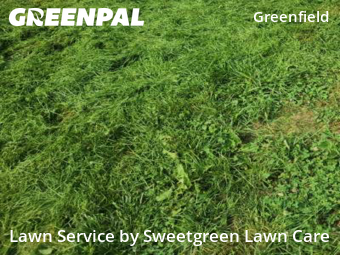 Grass Cut nearby Pittsburgh, PA, 