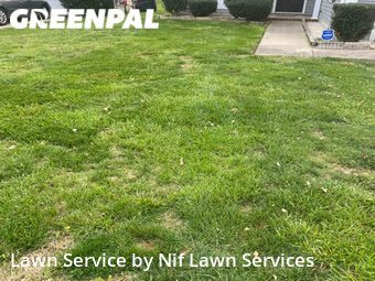 Lawn Care nearby Charlotte, NC, 