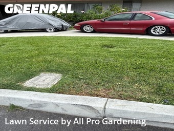 Work completed by the-yard-cutting-businesses-in-Placentia-CA