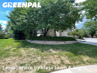 Grass Cutting nearby Denver, CO, 