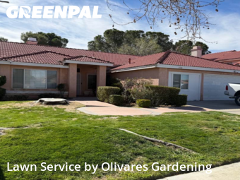 Work completed by lawn-care-services-in-Palmdale-CA