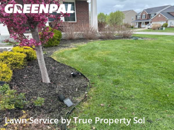 Grass Cutting nearby Bargersville, IN, 