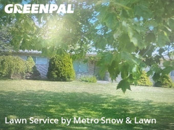 Landscaping In Sterling Heights,48314,Landscaping Cleanup by Metro Snow & Lawn, work completed in Jun , 2026