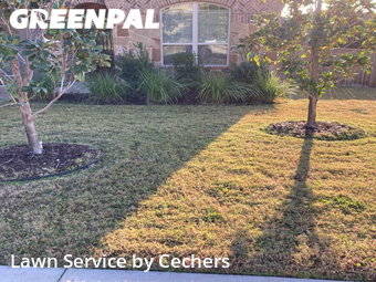 Lawn Maintenance nearby Round Rock, TX, 
