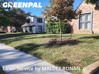 Lawn Service nearby Dallas, TX, 