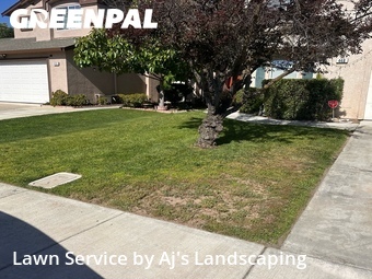 Lawn Care nearby Manteca, CA, 