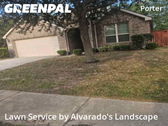 Grass Cutin Porter,77365,Yard Cutting by Alvarado's Landscape, work completed in Nov , 2025