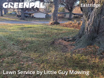 Lawn Services in Lincoln, 68510, Lawn Management by Little Guy Mowing, work completed in Dec , 2025