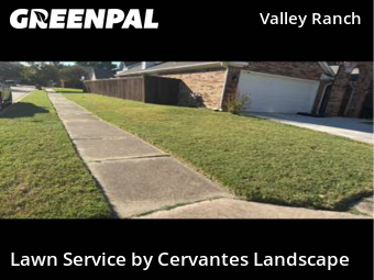Affordable Landscaping Maintenance Services In Irving,75063,Landscape Design by Cervantes Landscape, work completed in Oct , 2025