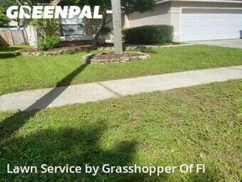 Lawn Mow nearby Valrico, FL, 