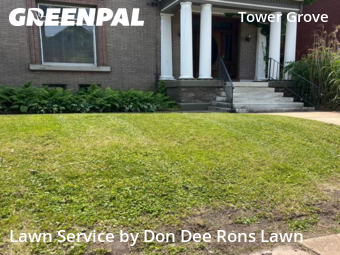 Grass Cut nearby St. Louis, MO, 