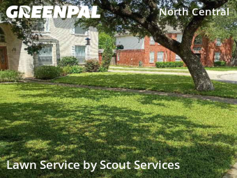 Lawn Care nearby San Antonio, TX, 