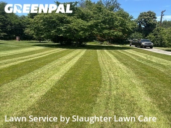 Lawn Mow nearby Knoxville, TN, 